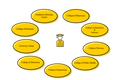 Chart explaining the structure of advising at IOWA. An icon of an undergraduate is in the center, surrounded by academic programs and departments.